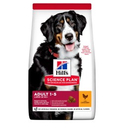Hill's Dog Adult Large - Pollo